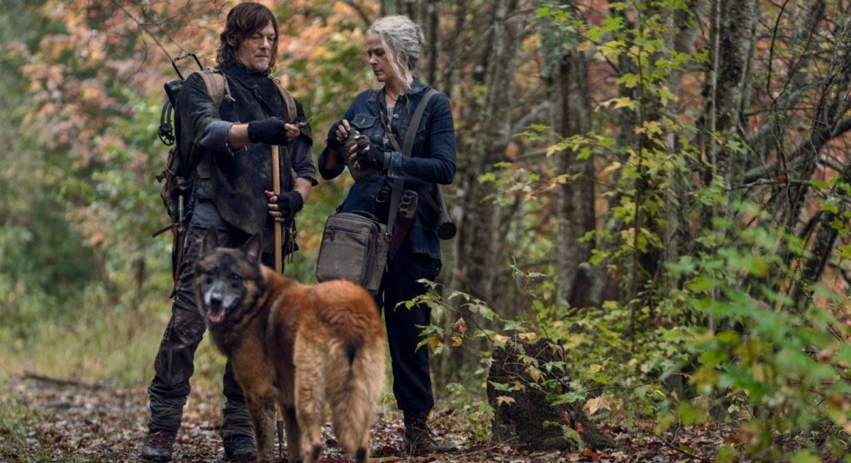 The Walking Dead morto il cane di Daryl Dixon Norman Reedus Il