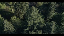 Never Let Go - A un passo dal male - Trailer Italiano del film horror con Halle Berry