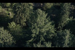 Never Let Go - A un passo dal male - Trailer Italiano del film horror con Halle Berry