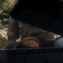 Un'immagine della uova di drago in House of the Dragon