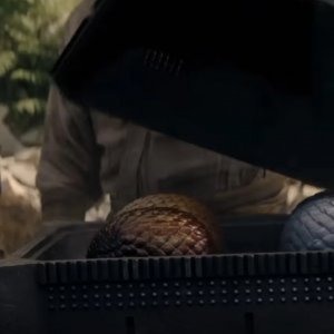 Un'immagine della uova di drago in House of the Dragon