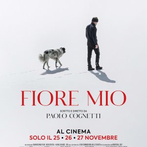 Locandina di Fiore mio