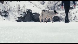 Fiore Mio - Teaser Trailer del documentario di Paolo Cognetti