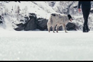 Fiore Mio - Teaser Trailer del documentario di Paolo Cognetti