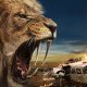 Prey - La grande caccia, la recensione: un survival-movie poco ispirato