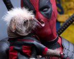 Deadpool & Wolverine, Ryan Reynolds difende Dogpool: 'è una bellezza naturale, acqua e sapone, senza CGI'