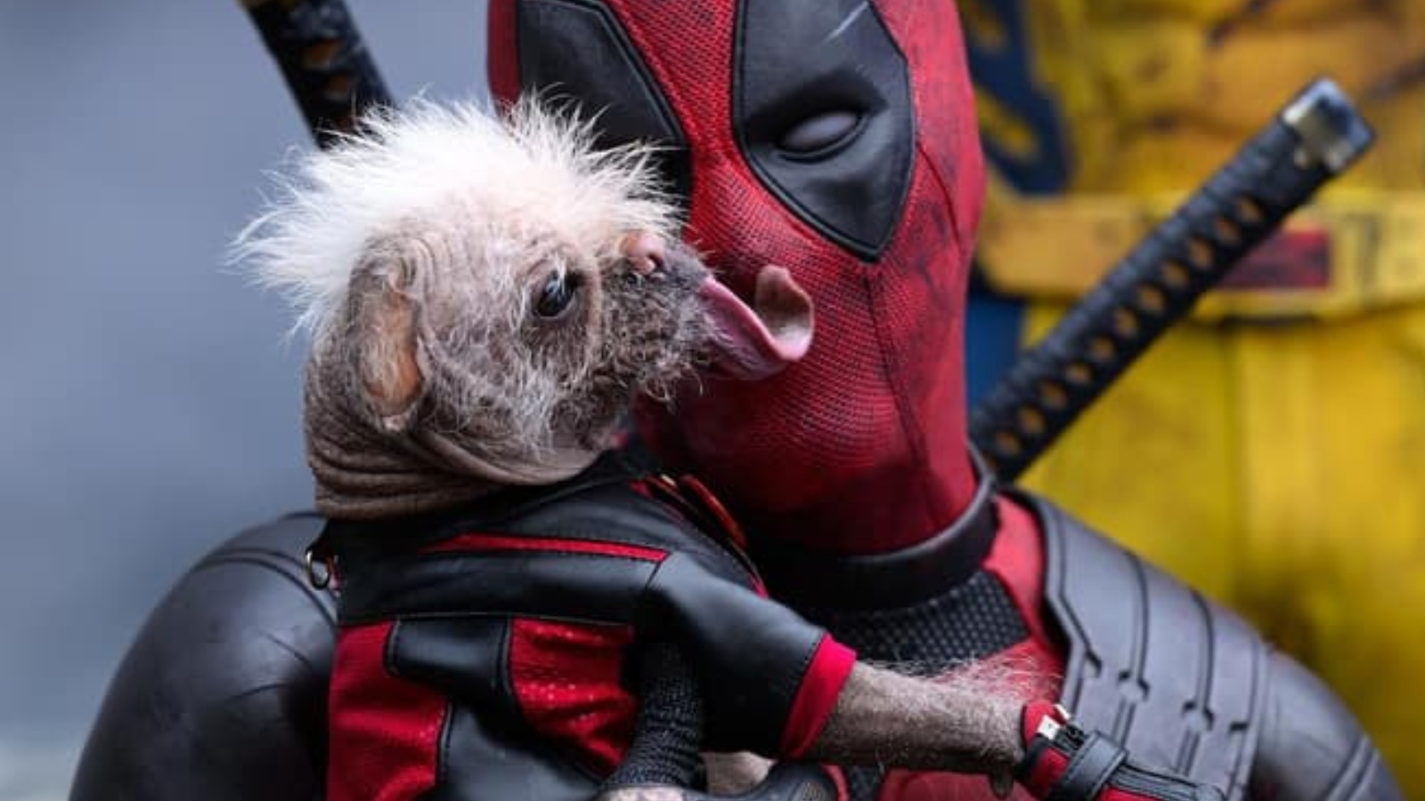 Deadpool insieme a Dogpool