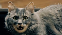 Catnado - Trailer del B-movie horror