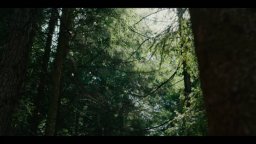 Pericolosamente vicini - Trailer del documentario sugli orsi in Trentino