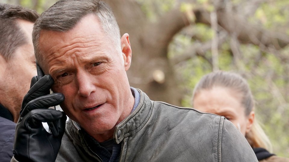 Jason Beghe Chicago Pd