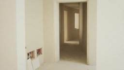 Bestiari, Erbari, Lapidari - Clip