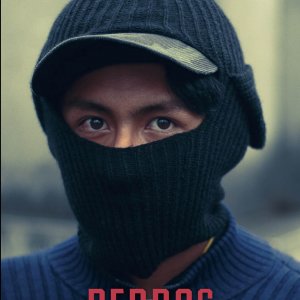 Locandina di Il ladro di cani