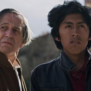 Il ladro di cani: una foto del film