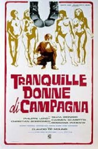 Locandina di Tranquille donne di campagna