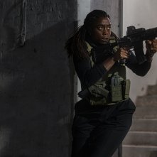 Il giorno dello sciacallo