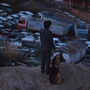 Il ladro di cani: una scena del film