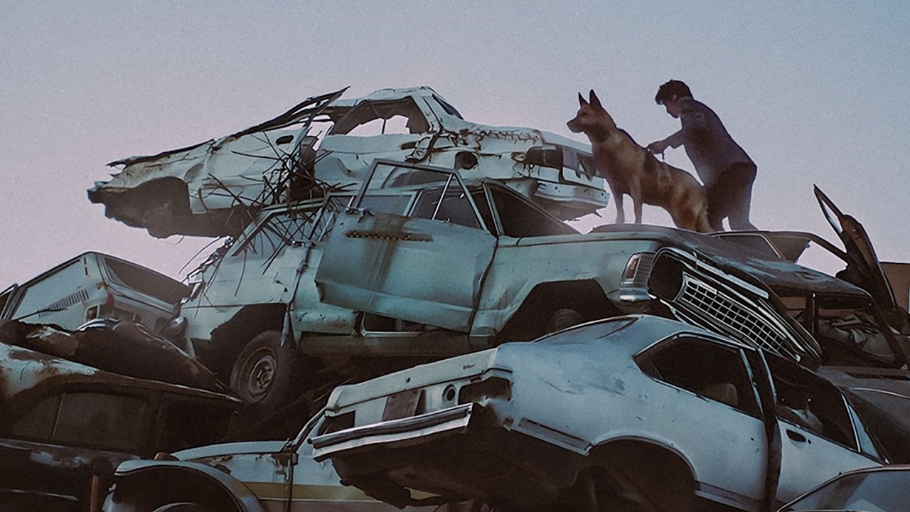 Una suggestiva immagine de Il ladro di cani