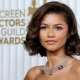 Zendaya ha sostenuto molti provini per la saga Disney Descendants: 'Ma non era quella la sua strada'