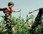 L'innocenza: una clip esclusiva del film di Kore'eda Hirokazu, dal 22 agosto al cinema