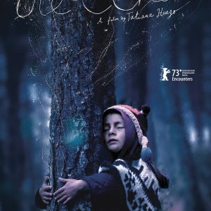 Locandina di The Echo