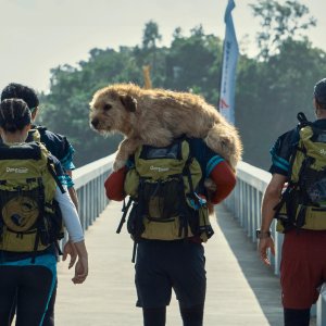 Arthur the King - Insieme ad ogni costo - un'immagine del film