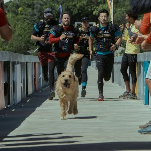 Arthur the King - Insieme ad ogni costo - una scena del film