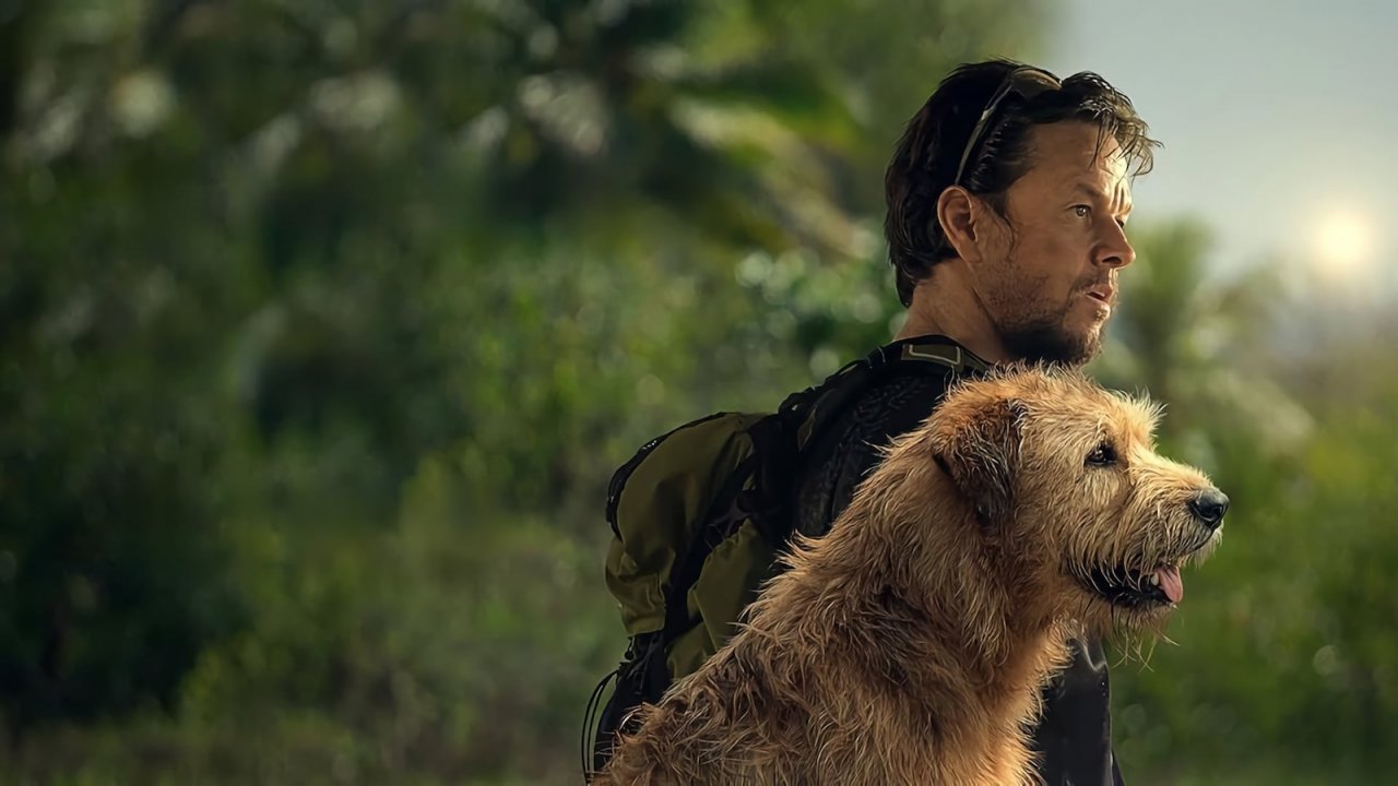 Un'immagine promozionale di Arthur the King