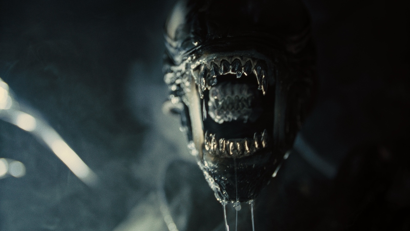 Lo xenomorfo di Alien: Romulus