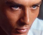 Alain Delon, un oggetto di culto al servizio del cinema