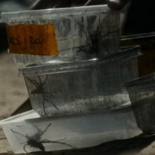 Vermin: una scena del film