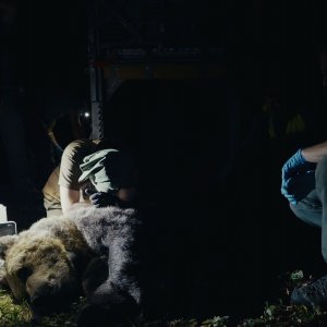 Pericolosamente vicini: un momento del film