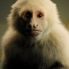 Gigi & Nate: la piccola Gigi in una foto