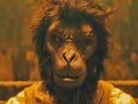 Monkey Man: ecco perché dovete recuperare in 4K UHD la sanguinaria vendetta di Dev Patel