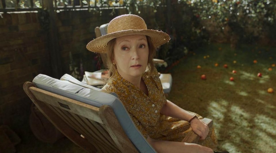 Disclaimer La Vita Perfetta Lesley Manville