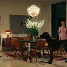 Peacock: Albrecht Schuch, Julia Franz Richter in una scena del film