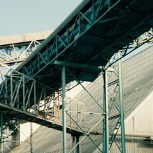 Bestiari, Erbari, Lapidari: un cementificio