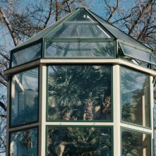 Bestiari, Erbari, Lapidari: la Palma di Goethe è la più antica pianta dell'Orto Botanico di Padova