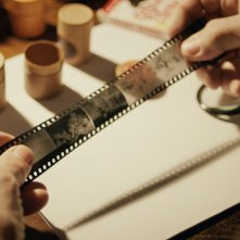 Bestiari, Erbari, Lapidari: il negativo di una pellicola