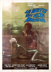 Locandina di La notte dell'alta marea