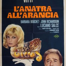 Locandina di L'anatra all'arancia