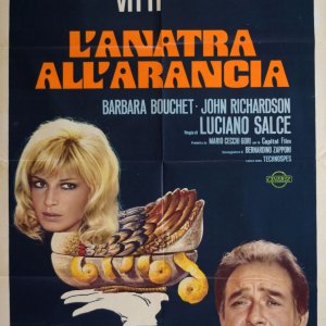 Locandina di L'anatra all'arancia
