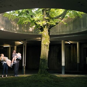 Quiet Life: una foto di scena