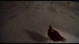 L'occhio Della Gallina - Clip Del Film