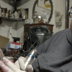 Bosco Grande: una sequenza