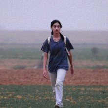 Locandina di Di uomini e cani