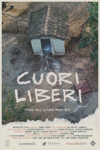 Locandina di Cuori Liberi