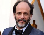 Luca Guadagnino dirigerà un film sul drammaturgo Tennessee Williams
