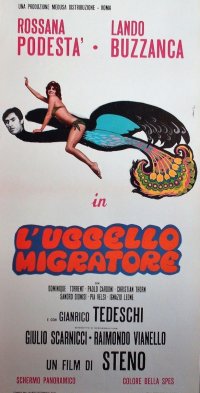 Locandina di L'uccello migratore
