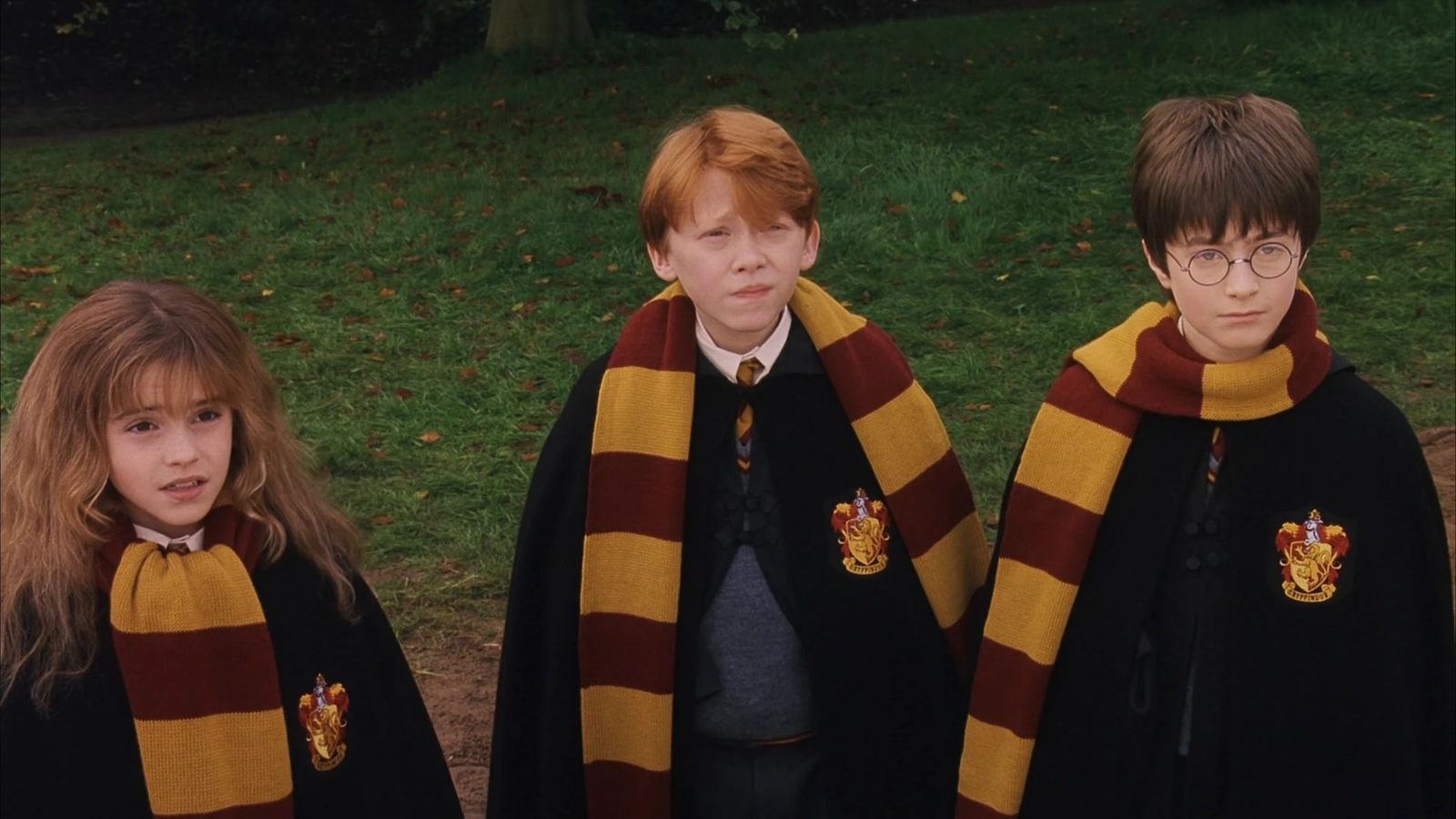 Harry, Ron e Hermione in Harry Potter