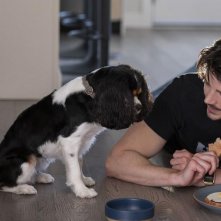 Una famiglia di cuccioli: Grant Gustin in una scena del film